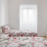 Central Basic Apartment